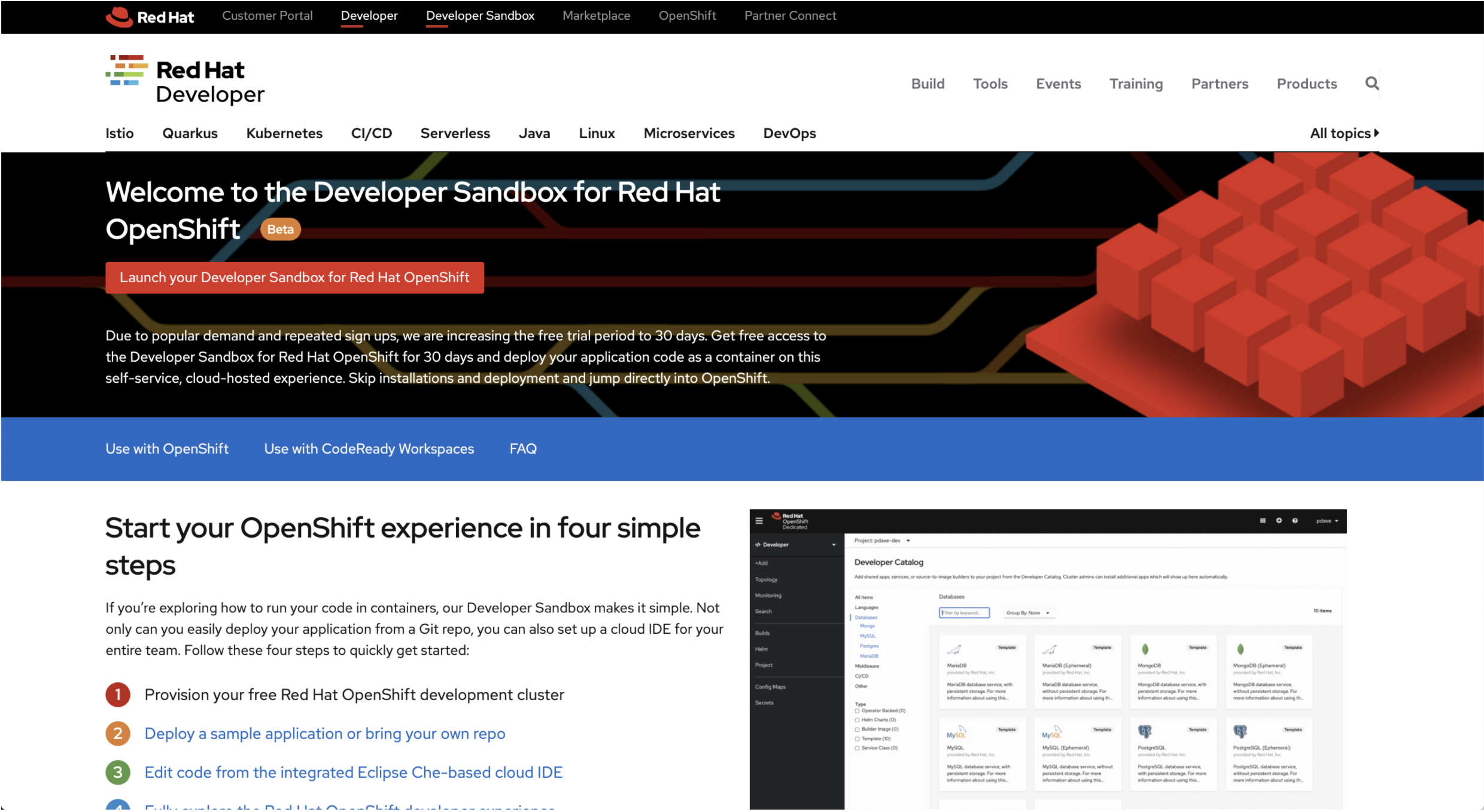 Developer Sandbox